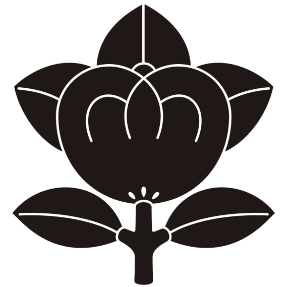 橘